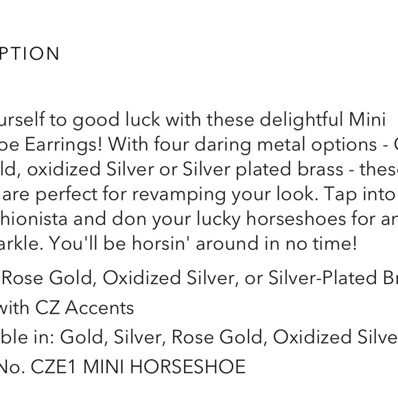 ♾️TAI horseshoe earrings. - Picture 4 of 6